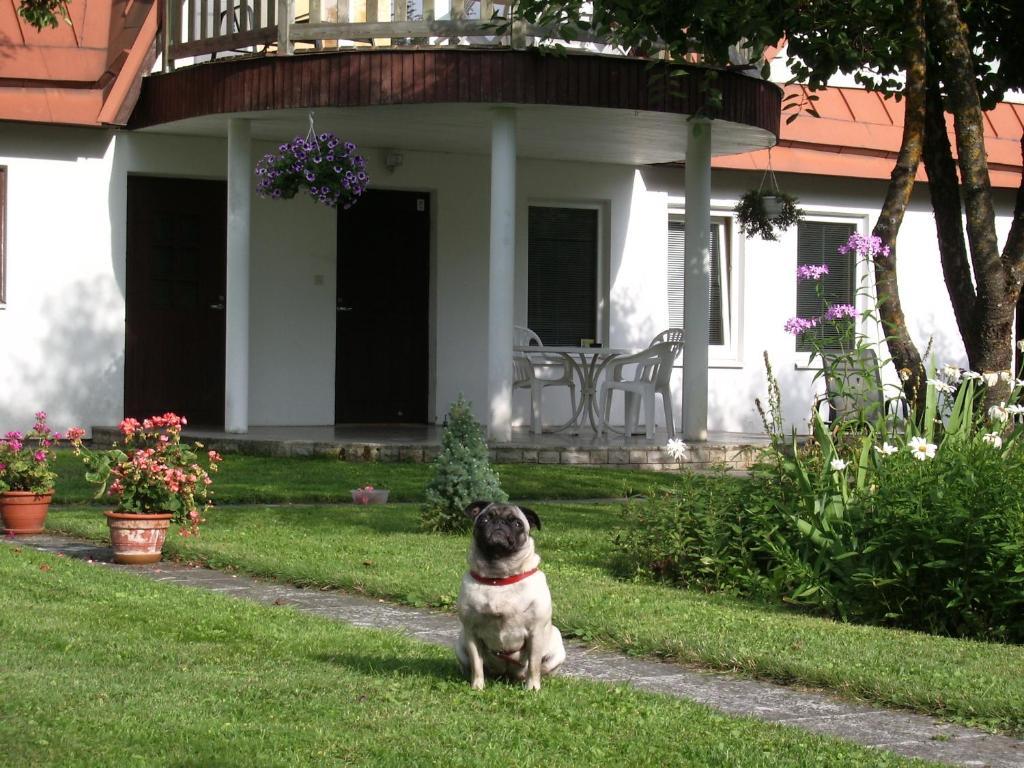 Maenni Guesthouse Hapsal Rum bild