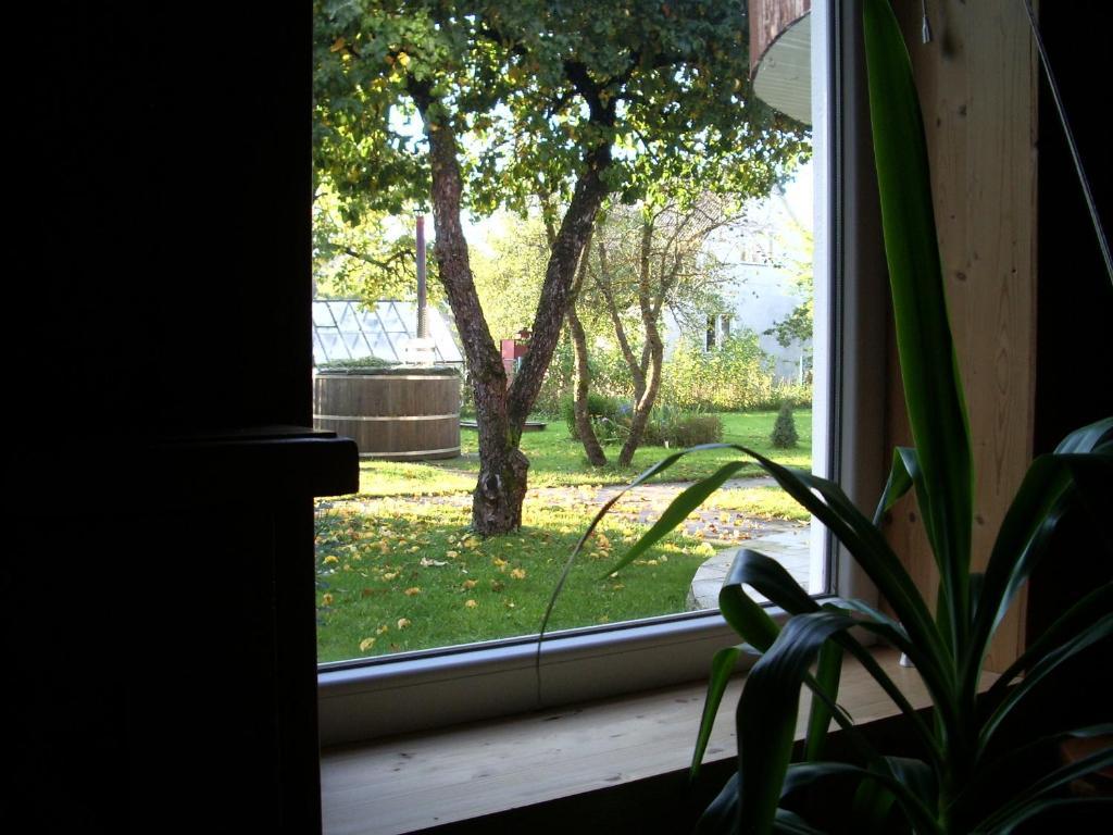 Maenni Guesthouse Hapsal Rum bild
